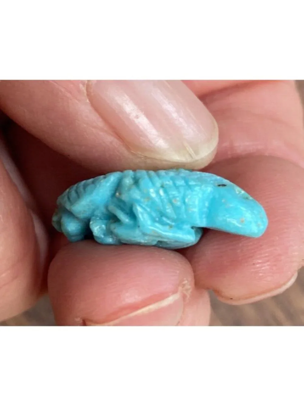 Turquoise 2 Sided Charm Pendant Goat Cactus Symbol 3D Looks Like Lizard From Sid
